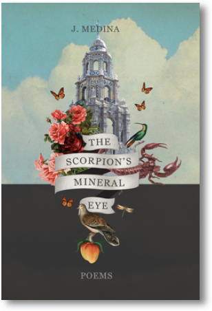 Scorpion's Mineral Eye book cover