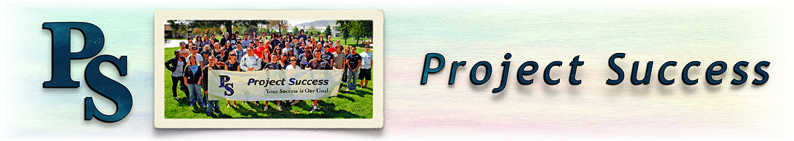 Project Success banner