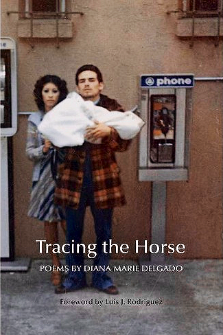 book cover - Tracing the Horse 