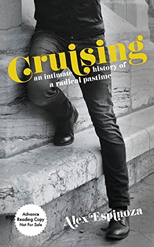 book cover - Cruising