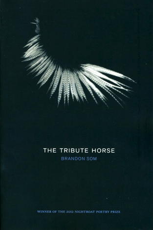 book cover - The Tribute Horse 