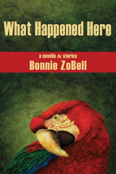 What Happened Here book cover