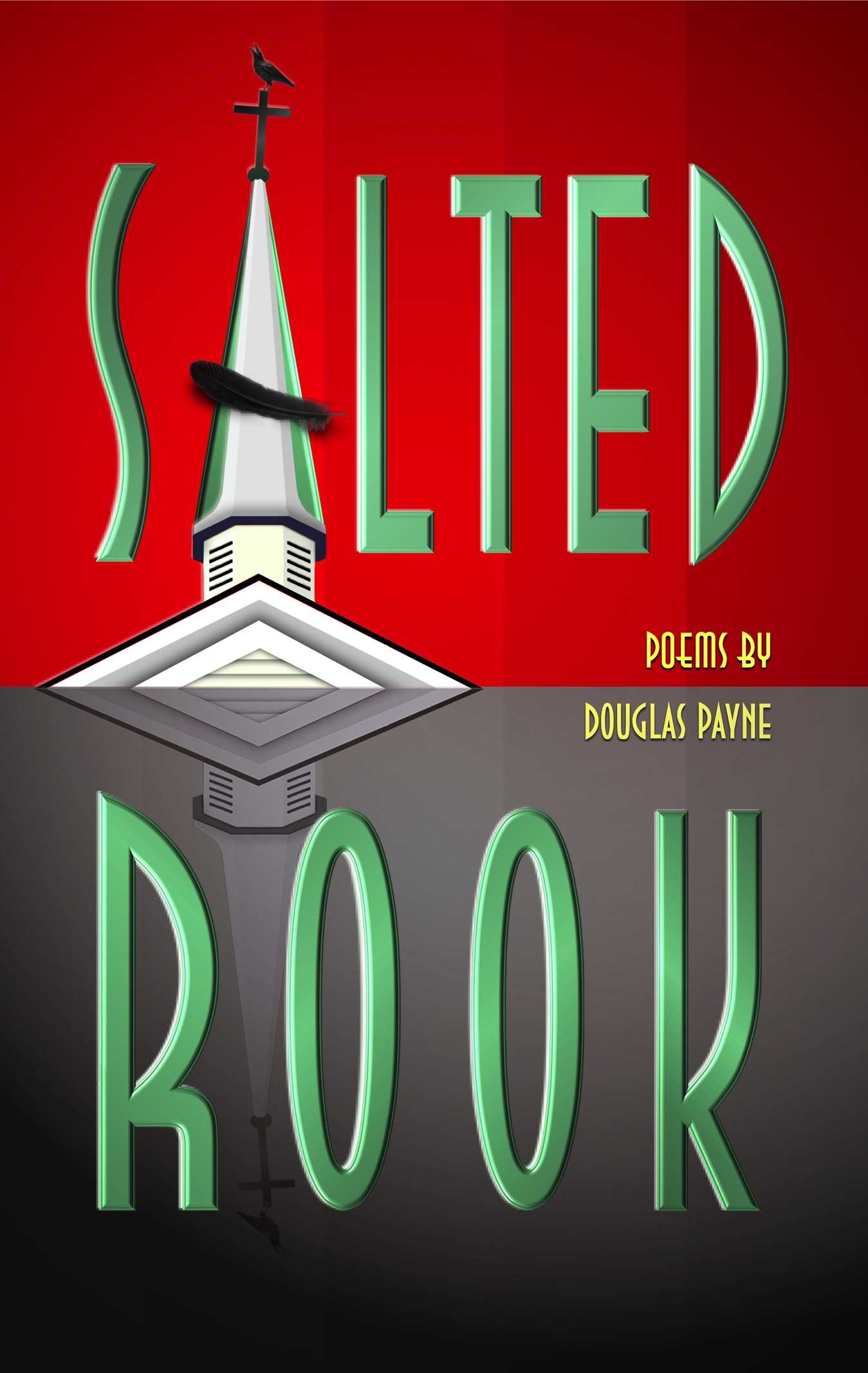Salted Rook book cover