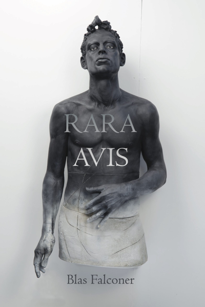 Rare Avis, by Blas Falconer a black and white book cover for “Rara Avis” by Blas Falconer, with a shirtless, darkly statuesque staring ahead