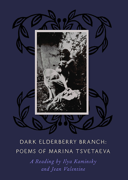 Dark Elderberry Branch