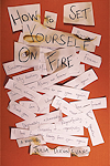 Julia Dixon Evans, How to Set Yourself on Fire