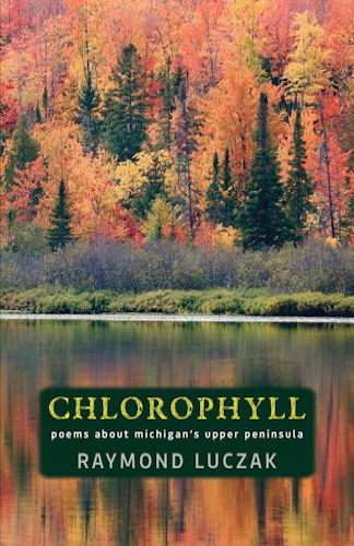 Chlorphyll