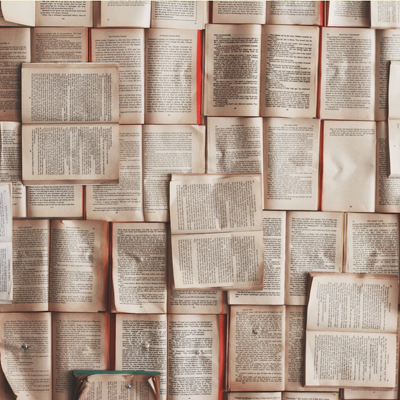 Why Literature Matters