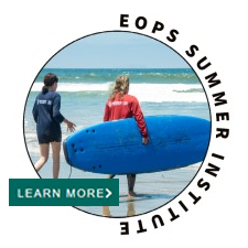 Summer Institute logo - learn more