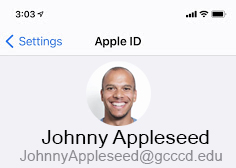 apple profile with email listed